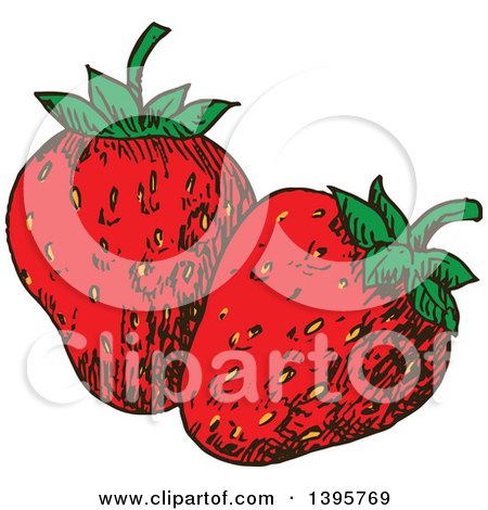 Clipart of Sketched Strawberries - Royalty Free Vector Illustration by Vector Tradition SM