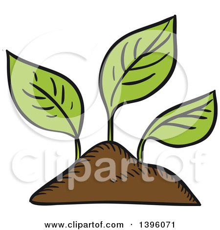 Clipart of Sketched Seedling Plants - Royalty Free Vector Illustration by Vector Tradition SM