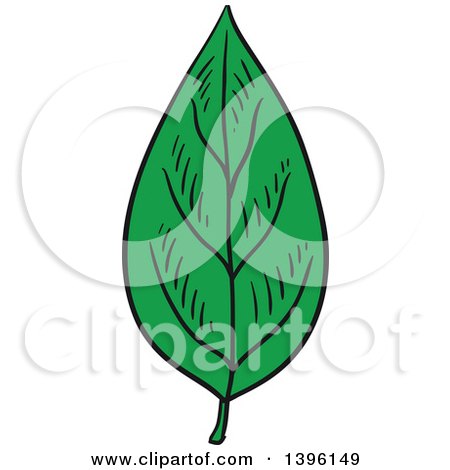 Clipart of a Sketched Leaf - Royalty Free Vector Illustration by Vector Tradition SM
