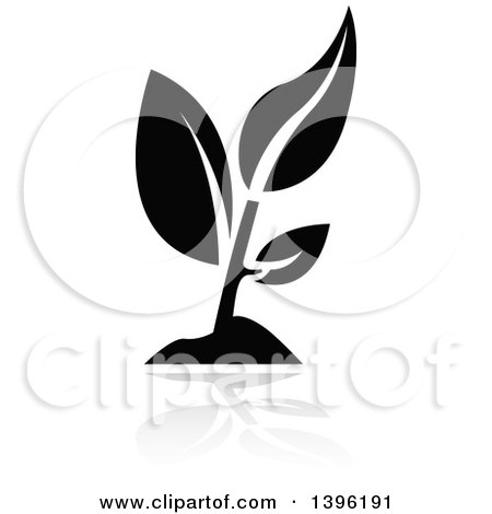Clipart of a Black Leafy Seedling Plant with a Gray Reflection - Royalty Free Vector Illustration by dero