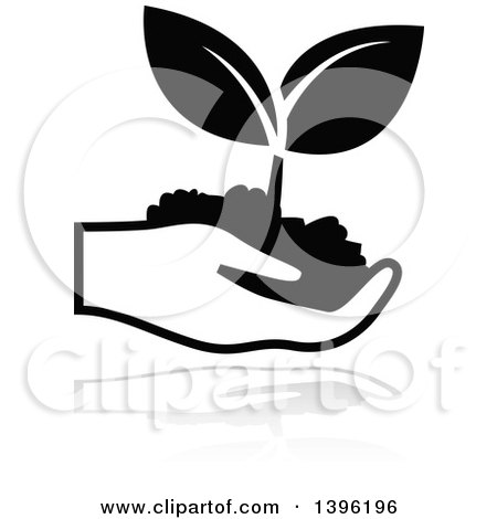 Clipart of a Hand Holding a Black Leafy Seedling Plant with a Gray Reflection - Royalty Free Vector Illustration by dero