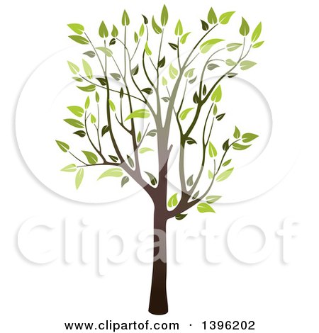 Clipart of a Tree with Green Leaves - Royalty Free Vector Illustration by dero