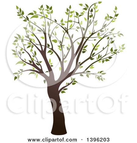 Clipart of a Tree with Green Leaves - Royalty Free Vector Illustration by dero