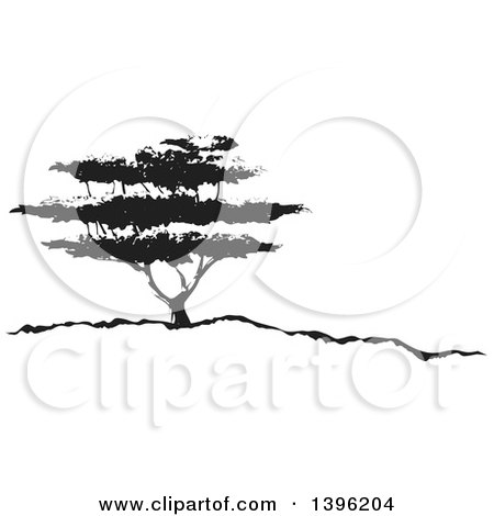Clipart of a Black and White African Acacia Tree - Royalty Free Vector Illustration by dero