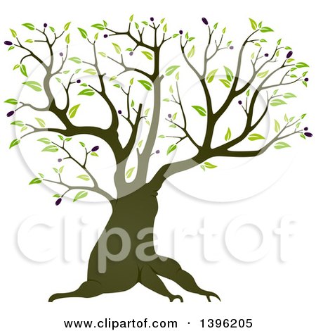 Clipart of a Mature Olive Tree - Royalty Free Vector Illustration by dero