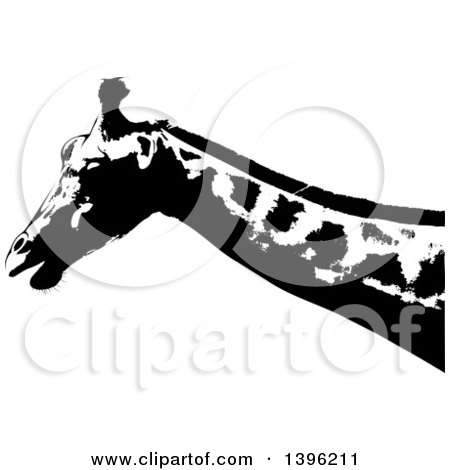 Clipart of a Black and White African Giraffe - Royalty Free Vector Illustration by dero