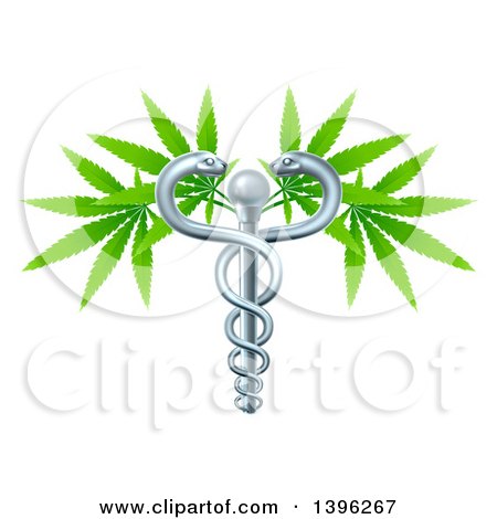 Clipart of a Medical Marijuana Design with a Cannabis Plant Growing on a Silver Snake Caduceus - Royalty Free Vector Illustration by AtStockIllustration