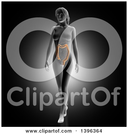 Clipart of a 3d Anatomical Woman with Visible Colon, on Gray - Royalty Free Illustration by KJ Pargeter
