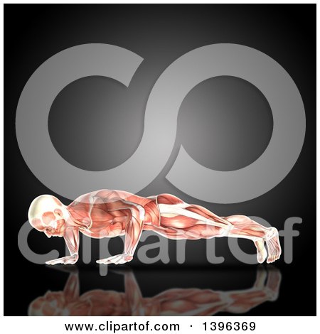 Clipart of a 3d Anatomical Man Doing Pushups, with Visible Muscles, on Gray - Royalty Free Illustration by KJ Pargeter