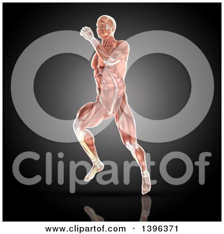 Clipart of a 3d Anatomical Man with Visible Muscles, Running, on a Dark Background - Royalty Free Illustration by KJ Pargeter