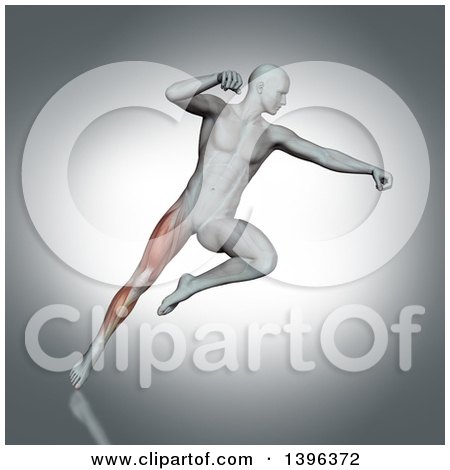Clipart of a 3d Anatomical Man Fighting and Jumping, with Visible Leg Muscles, on Gray - Royalty Free Illustration by KJ Pargeter