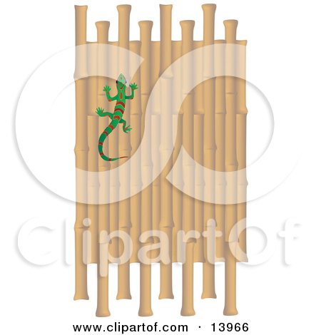 Green And Red Striped Gecko Climbing A Bamboo Wall Clipart Illustration by Rasmussen Images