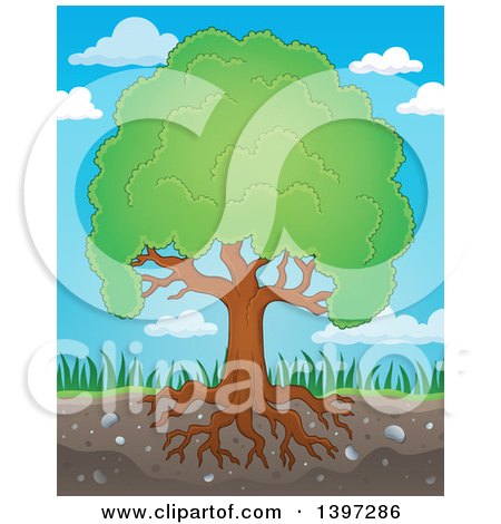 Clipart of a Lush Tree with a Green Canopy and Visible Roots Against Sky - Royalty Free Vector Illustration by visekart