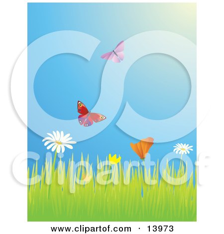 Two Butterflies Flying Over A Meadow Of Daisy And Poppy Wildflowers Clipart Illustration by Rasmussen Images