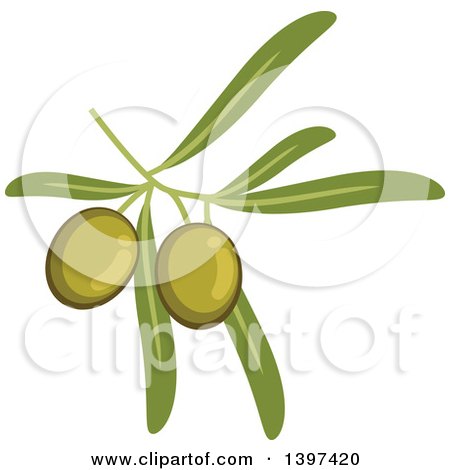 Clipart of a Branch of Green Olives and Leaves - Royalty Free Vector Illustration by Vector Tradition SM