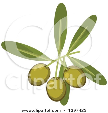 Clipart of a Branch of Green Olives and Leaves - Royalty Free Vector Illustration by Vector Tradition SM