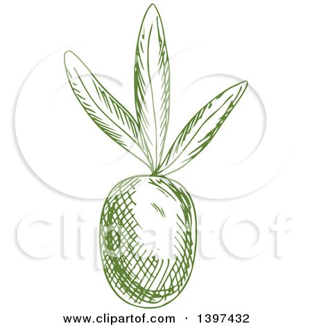 Clipart of a Green Sketched Olive - Royalty Free Vector Illustration by Vector Tradition SM