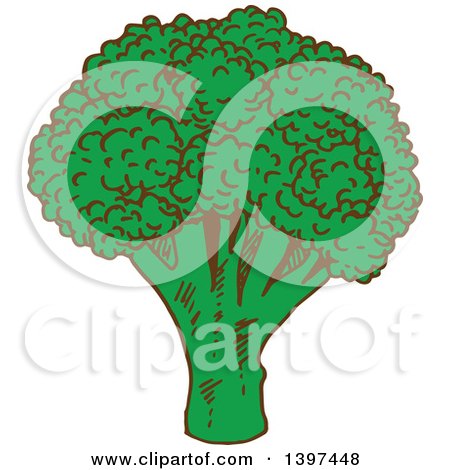 Clipart of a Sketched Head of Broccoli - Royalty Free Vector Illustration by Vector Tradition SM