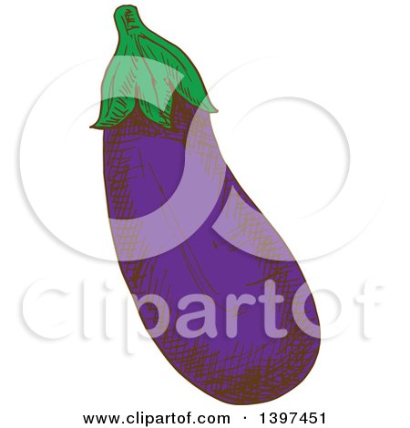 Clipart of a Sketched Eggplant - Royalty Free Vector Illustration by Vector Tradition SM