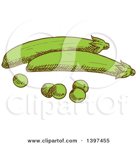 Clipart of Sketched Peas and Pods - Royalty Free Vector Illustration by Vector Tradition SM