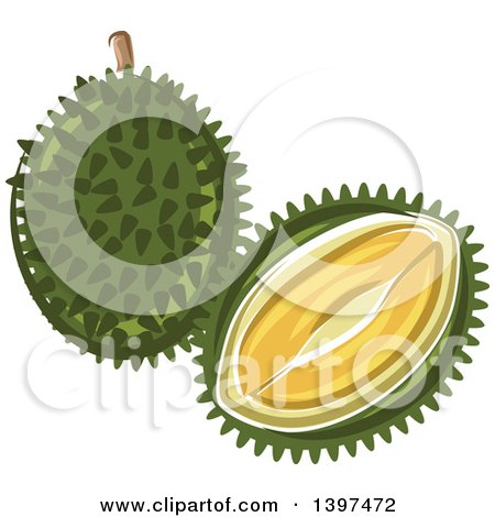 Clipart of Durian Fruits - Royalty Free Vector Illustration by Vector Tradition SM