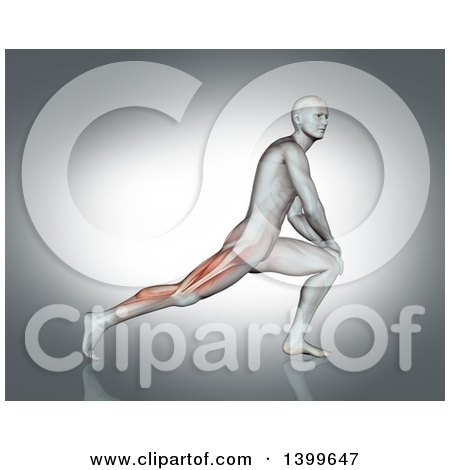 Clipart of a 3d Anatomical Man Stretching His Legs, with Visible Muscles, on Gray - Royalty Free Illustration by KJ Pargeter