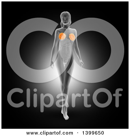 Clipart of a 3d Anatomical Woman with Visible Internal Breast Makeup, on Black - Royalty Free Illustration by KJ Pargeter