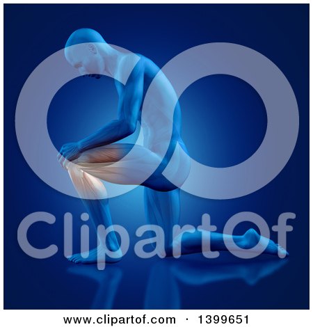 Clipart of a 3d Anatomical Man Kneeling on the Floor, with Visible Knee and Leg Muscles and Bones, on Blue - Royalty Free Illustration by KJ Pargeter