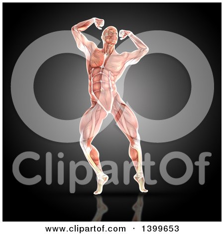 Clipart of a 3d Male Body Builder Posing, with Visible Muscles, on Gray - Royalty Free Illustration by KJ Pargeter