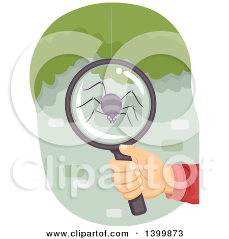 Clipart of a Hand Holding a Magnifying Glass over a Spider - Royalty Free Vector Illustration by BNP Design Studio