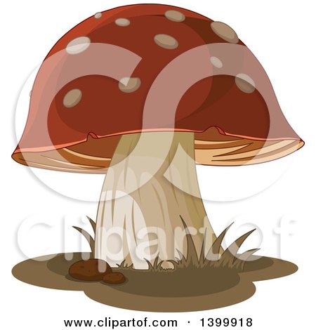 Clipart of a Mushroom with Pebbles and Grass - Royalty Free Vector Illustration by Pushkin
