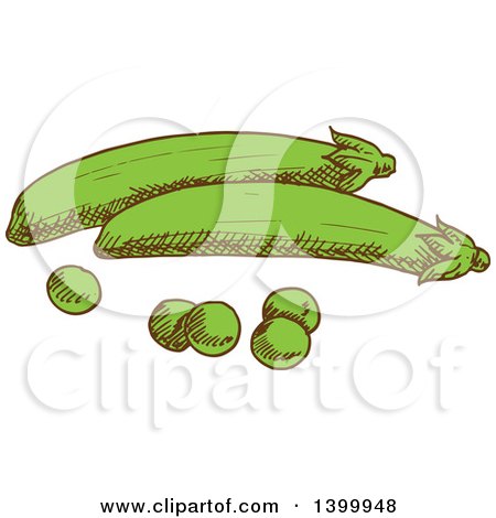 Clipart of Sketched Peas - Royalty Free Vector Illustration by Vector Tradition SM