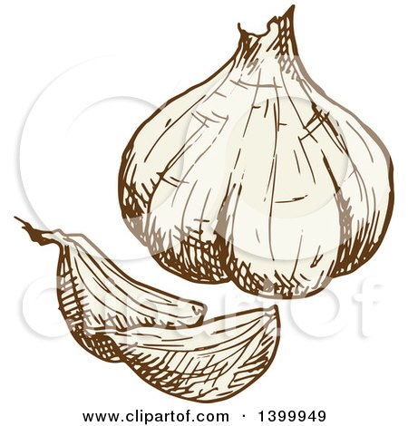 Clipart of a Sketched Garlic Bulb - Royalty Free Vector Illustration by Vector Tradition SM