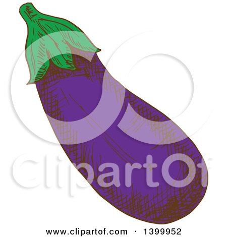Clipart of a Sketched Eggplant - Royalty Free Vector Illustration by Vector Tradition SM