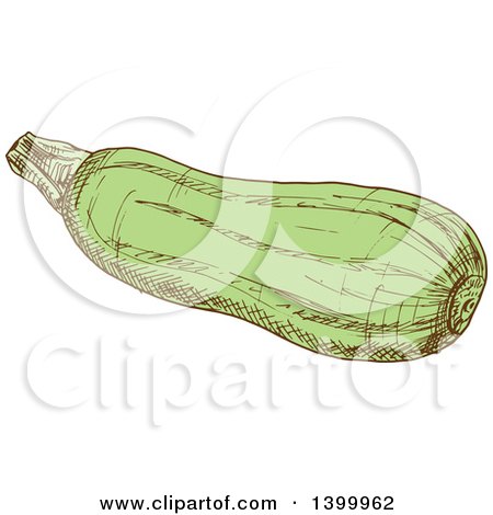 Clipart of a Sketched Zucchini - Royalty Free Vector Illustration by Vector Tradition SM
