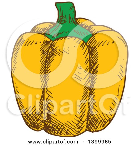 Clipart of a Sketched Yellow Bell Pepper - Royalty Free Vector Illustration by Vector Tradition SM