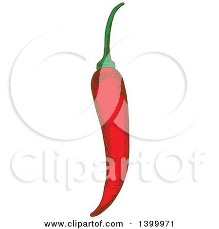 Clipart of a Sketched Red Chili Pepper - Royalty Free Vector Illustration by Vector Tradition SM