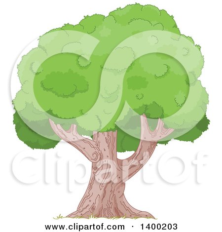 Clipart of a Mature Tree with a - Royalty Free Vector Illustration by Pushkin