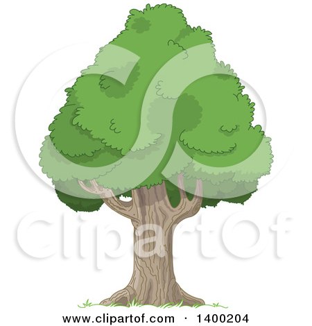 Clipart of a Mature Pyramidal Tree with a - Royalty Free Vector Illustration by Pushkin