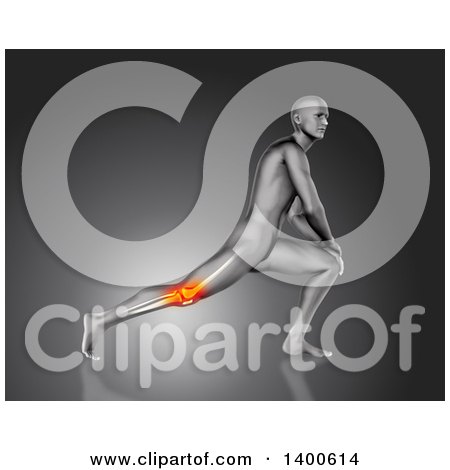 Clipart of a 3d Anatomical Man Stretching His Legs, with Visible Glowing Knee Pain and Bones, on Gray - Royalty Free Illustration by KJ Pargeter