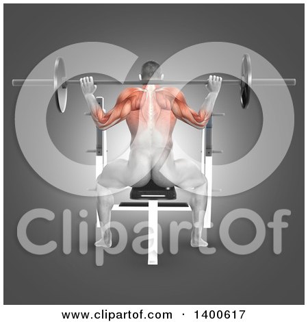 Clipart of a 3d Anatomical Male Bodybuilder Working Out, with Visible Muscles Used Doing Barbell Press, on Gray - Royalty Free Illustration by KJ Pargeter