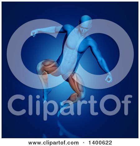 Clipart of a 3d Anatomical Man Jumping, with Visible Leg Muscles, on Blue - Royalty Free Illustration by KJ Pargeter