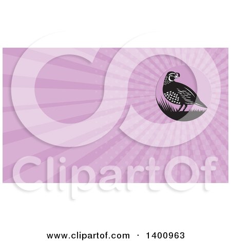 Clipart of a Retro Black and White Quail Bird and Grass and Pink Rays Background or Business Card Design - Royalty Free Illustration by patrimonio