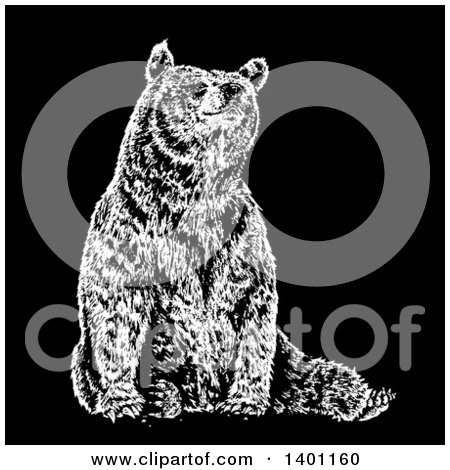 Clipart of a Black and White Bear Sitting - Royalty Free Vector Illustration by lineartestpilot