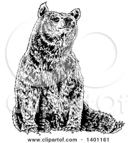 Clipart of a Black and White Bear Sitting - Royalty Free Vector Illustration by lineartestpilot