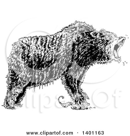 Clipart of a Black and White Angry Bear Roaring - Royalty Free Vector Illustration by lineartestpilot