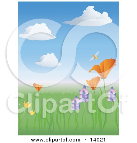 Happy Bumble Honey Bee Buzzing Above a California Poppy in a Meadow of Wildflowers in the Spring Clipart Illustration by Rasmussen Images