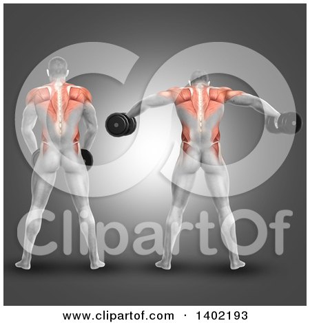 Clipart of a Rear View of a 3d Man Working out with Dumbbells, Doing Lateral Raises, with Visible Muscles, on a Gray Background - Royalty Free Illustration by KJ Pargeter