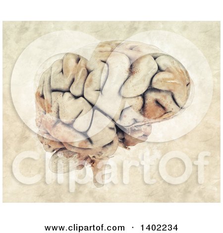 Clipart of a 3d Human Brain and Watercolor Splatters - Royalty Free Illustration by KJ Pargeter