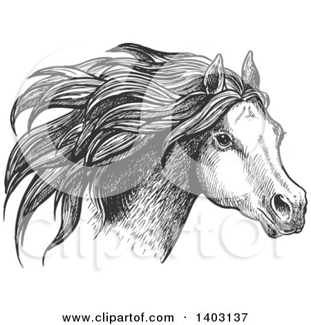 Clipart of a Dark Gray Sketched Horse Head - Royalty Free Vector Illustration by Vector Tradition SM